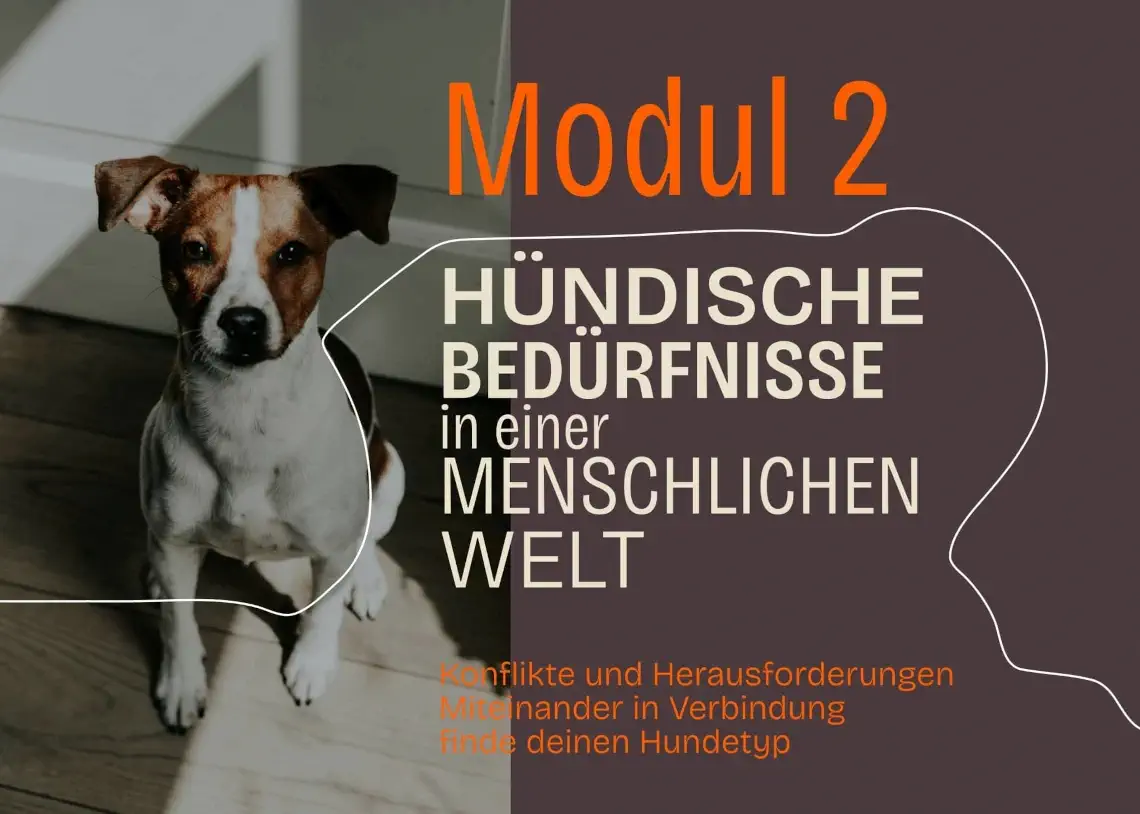 HZDUDW (Lena Gärtner) - Modul 2 - Hündische Bedürfnisse in einer menschlichen Welt